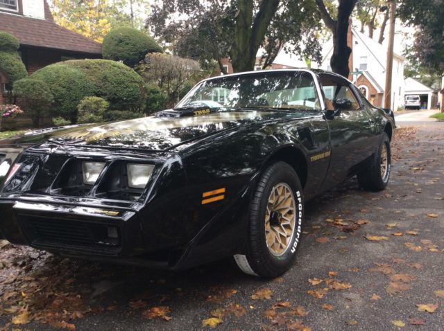 1979 Pontiac Trans Am 2 Door Coupe - photo 10