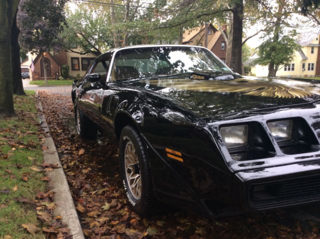 1979 Pontiac Trans Am 2 Door Coupe - photo 11