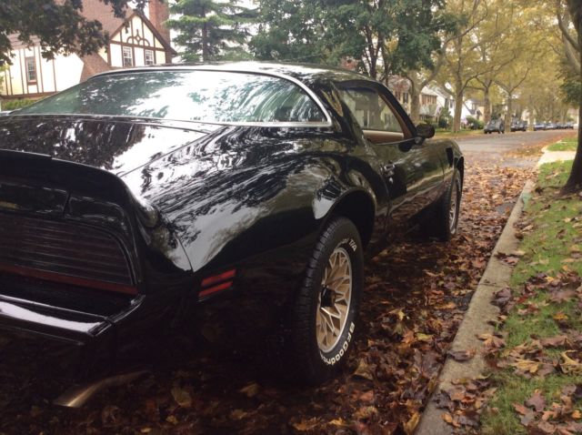 1979 Pontiac Trans Am 2 Door Coupe - photo 12