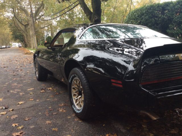 1979 Pontiac Trans Am 2 Door Coupe - photo 13