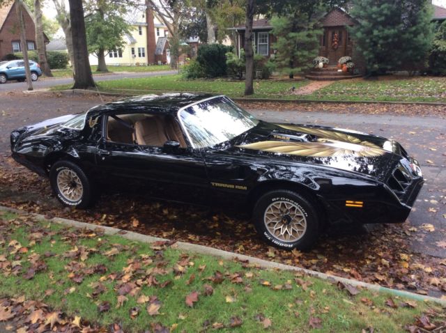 1979 Pontiac Trans Am 2 Door Coupe - photo 4