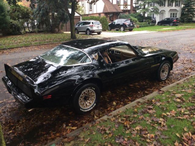 1979 Pontiac Trans Am 2 Door Coupe - photo 5