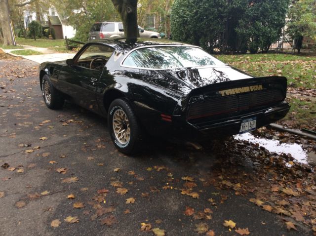 1979 Pontiac Trans Am 2 Door Coupe - photo 7