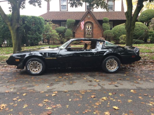 1979 Pontiac Trans Am 2 Door Coupe - photo 8