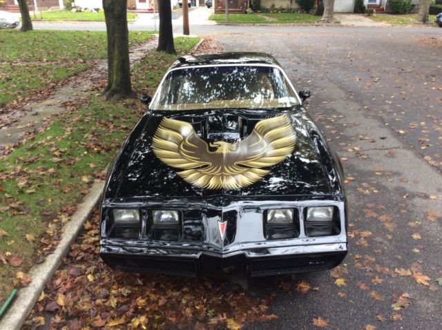 1979 Pontiac Trans Am 2 Door Coupe - photo 9