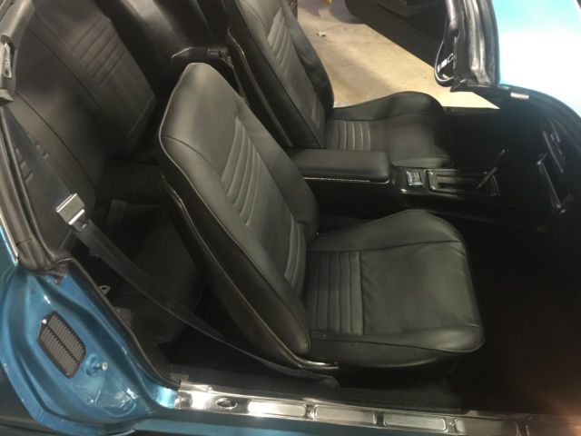 1979 Pontiac Trans Am - photo 8