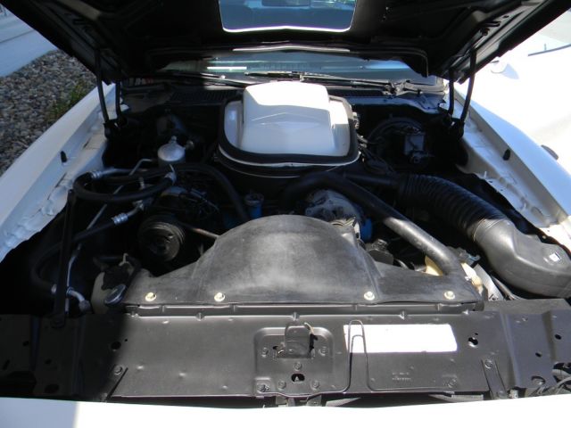 1979 Pontiac Trans Am - photo 10
