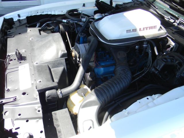 1979 Pontiac Trans Am - photo 11