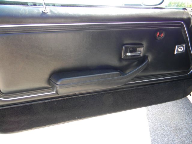1979 Pontiac Trans Am - photo 9
