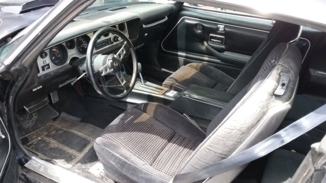 1979 Pontiac Trans Am Trans Am - photo 10
