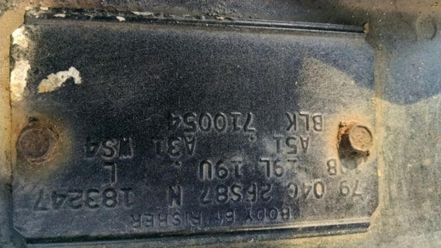 1979 Pontiac Trans Am Trans Am - photo 9