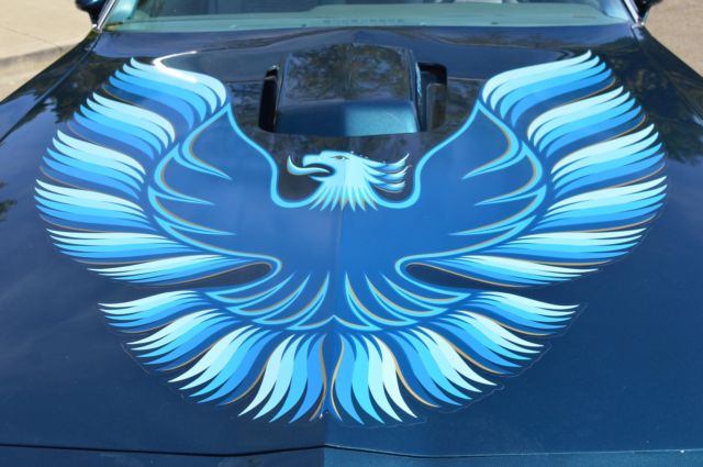 1979 Pontiac Trans Am 6.6L - photo 10