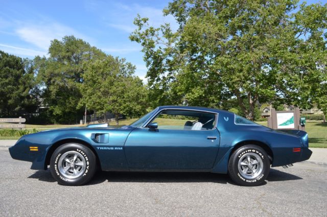 1979 Pontiac Trans Am 6.6L - photo 12