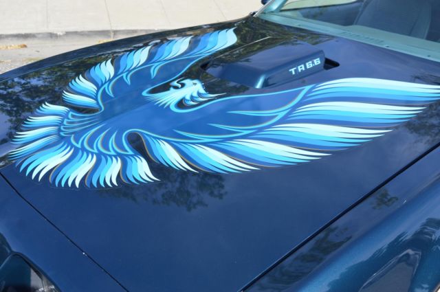 1979 Pontiac Trans Am 6.6L - photo 5