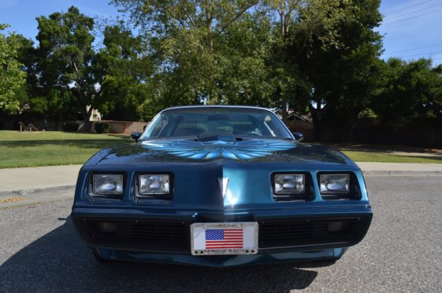 1979 Pontiac Trans Am 6.6L - photo 8