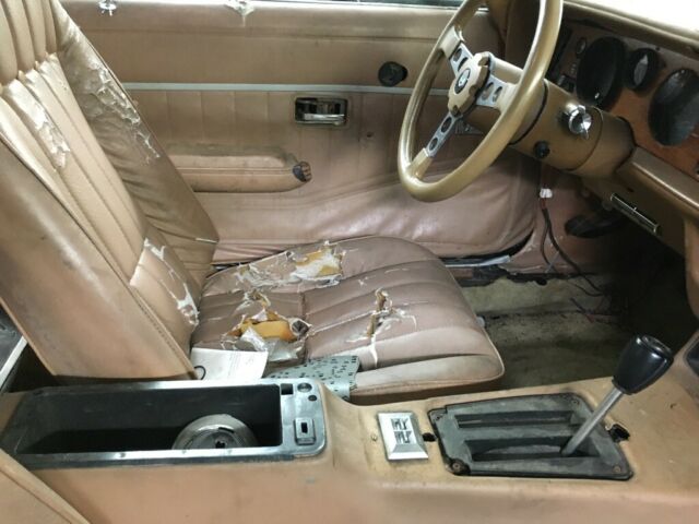 1979 Pontiac Trans Am Y84 - photo 11