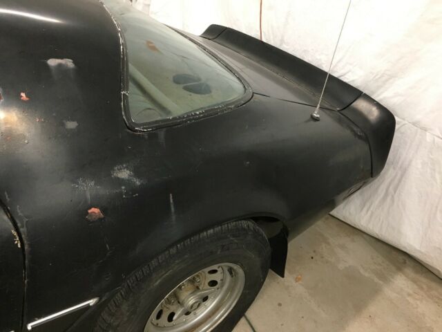 1979 Pontiac Trans Am Y84 - photo 6