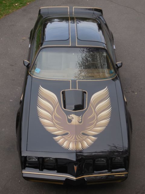 1979 Pontiac Trans Am