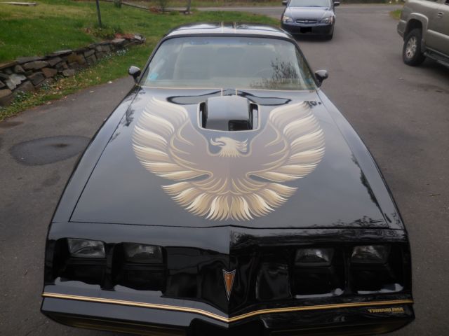 1979 Pontiac Trans Am - photo 2