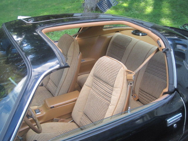 1979 Pontiac Trans Am - photo 8