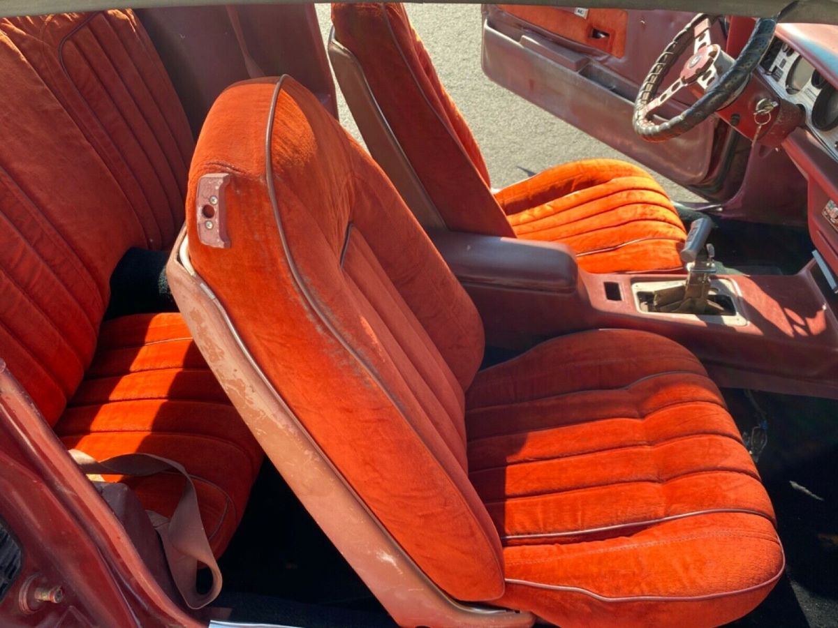 1979 Pontiac Trans Am Trans am - photo 13