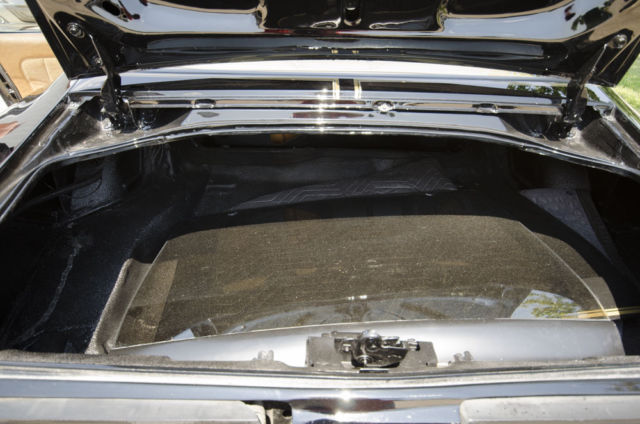 1979 Pontiac Trans Am - photo 4