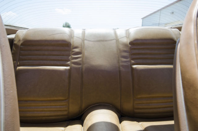 1979 Pontiac Trans Am - photo 5