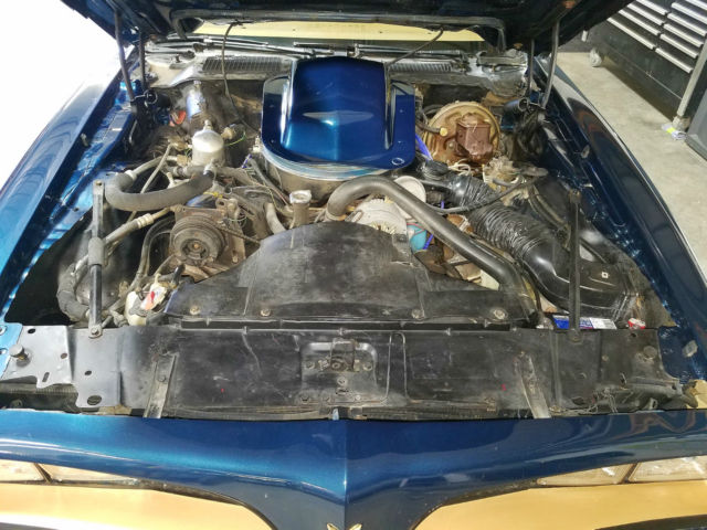 1979 Pontiac Trans Am WS6 - photo 10