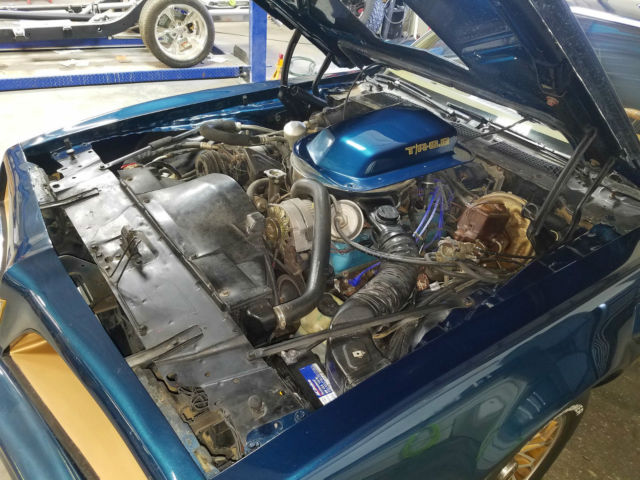 1979 Pontiac Trans Am WS6 - photo 11