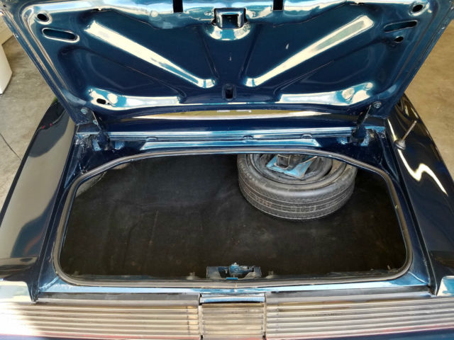 1979 Pontiac Trans Am WS6 - photo 12