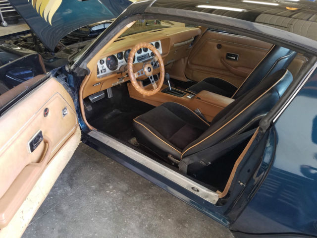 1979 Pontiac Trans Am WS6 - photo 13