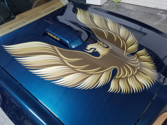 1979 Pontiac Trans Am WS6 - photo 7