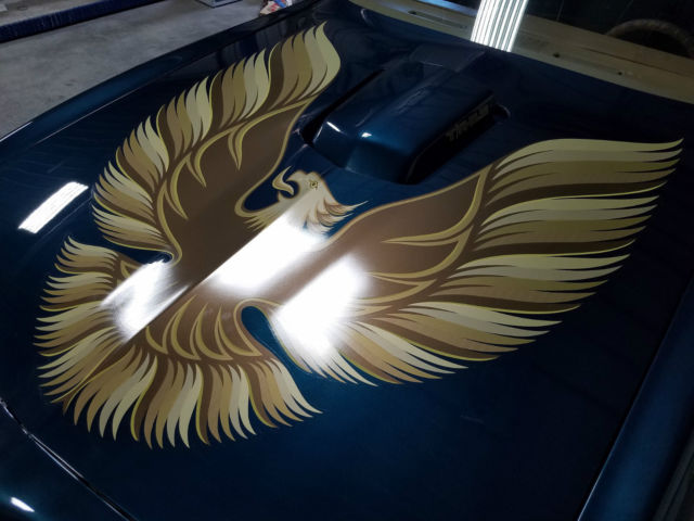 1979 Pontiac Trans Am WS6 - photo 8