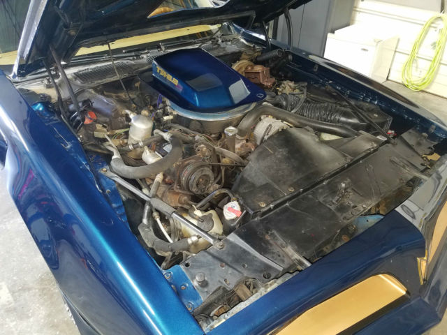 1979 Pontiac Trans Am WS6 - photo 9