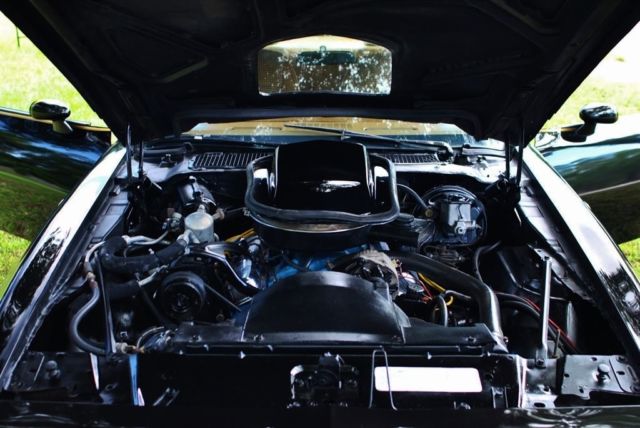 1979 Pontiac Trans Am 6.6L V8 Auto Absolutely Gorgeous Air Conditioning - photo 8