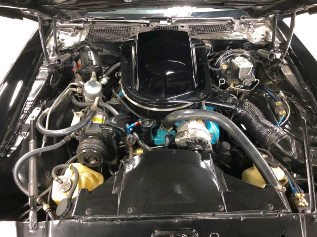 1979 Pontiac Trans Am - photo 11