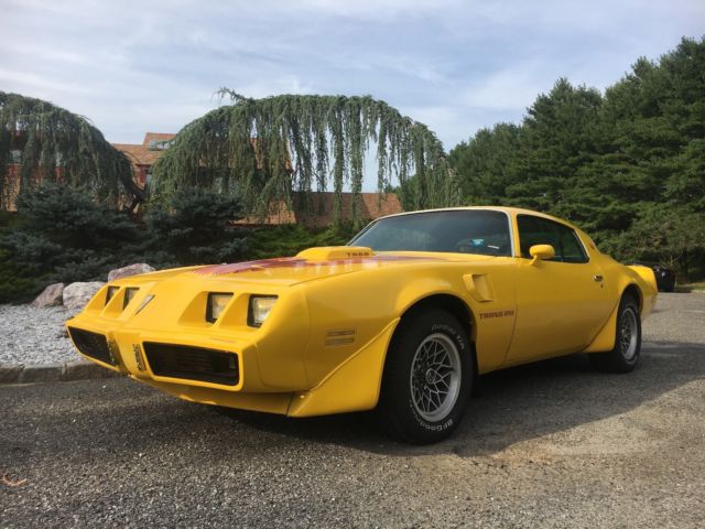 1979 PONTIAC TRANS AM 6.6L **VERY WELL DOCUMENTED** ORIGINAL CAR LOW RESERVE 1979 Pontiac Trans Am