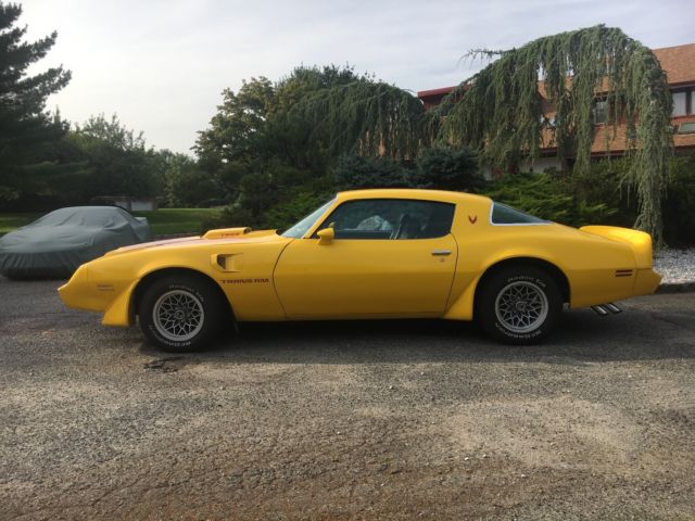1979 Pontiac Trans Am - photo 10