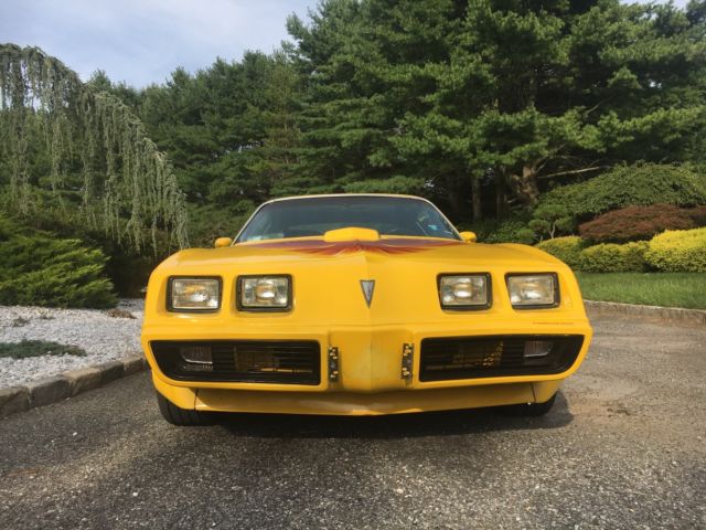 1979 Pontiac Trans Am - photo 2