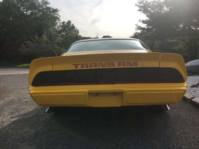1979 Pontiac Trans Am - photo 7