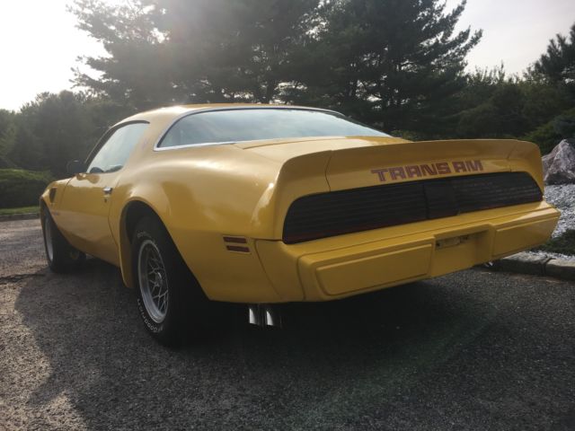 1979 Pontiac Trans Am - photo 8