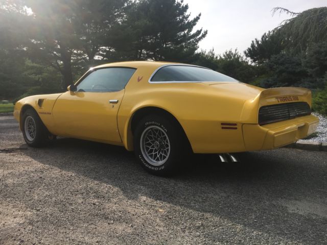 1979 Pontiac Trans Am - photo 9