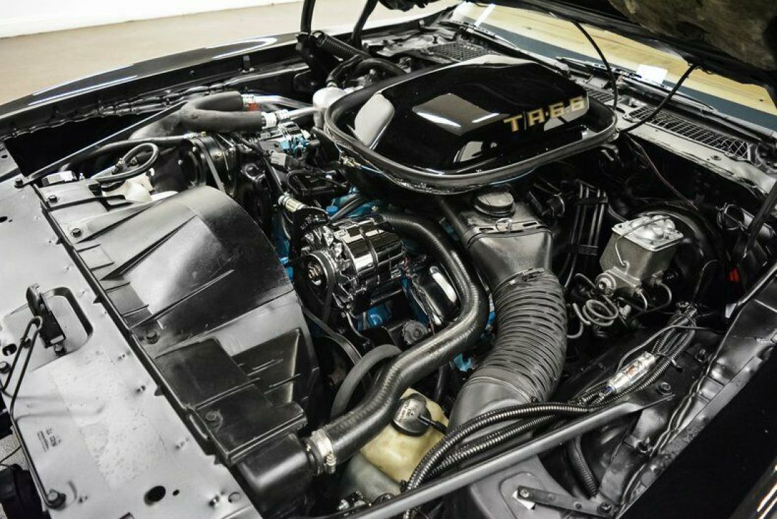 1979 Pontiac Trans Am - photo 11