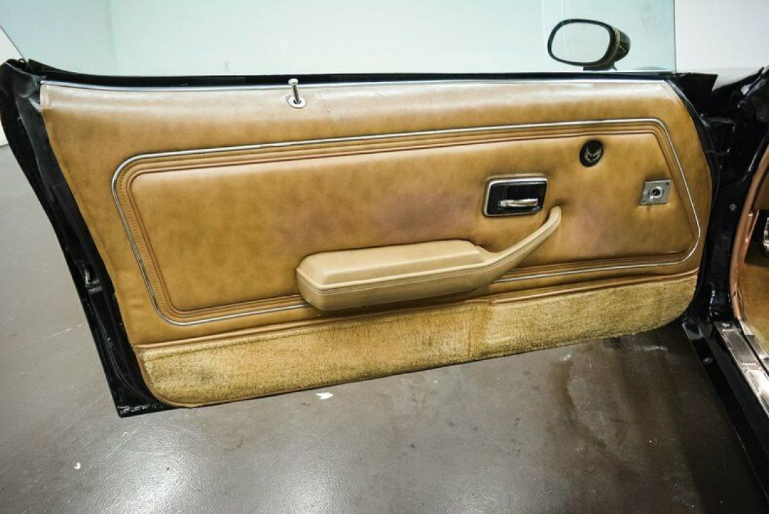 1979 Pontiac Trans Am - photo 12