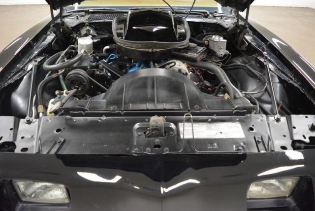 1979 Pontiac Trans Am -- - photo 10