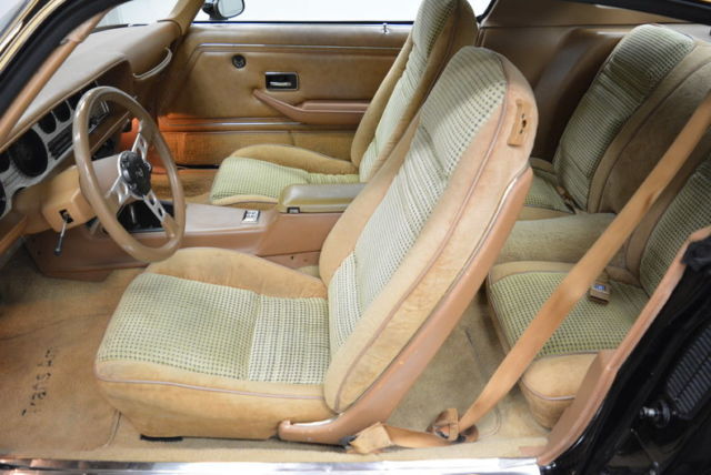 1979 Pontiac Trans Am -- - photo 13