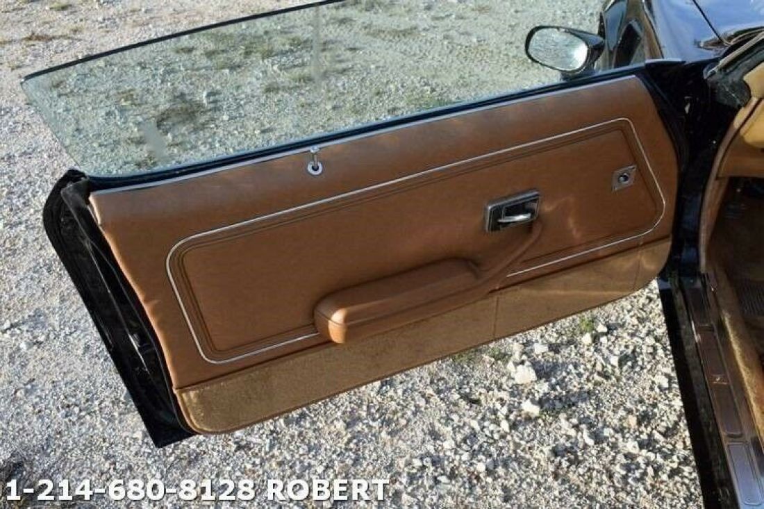 1979 Pontiac Trans Am - photo 10