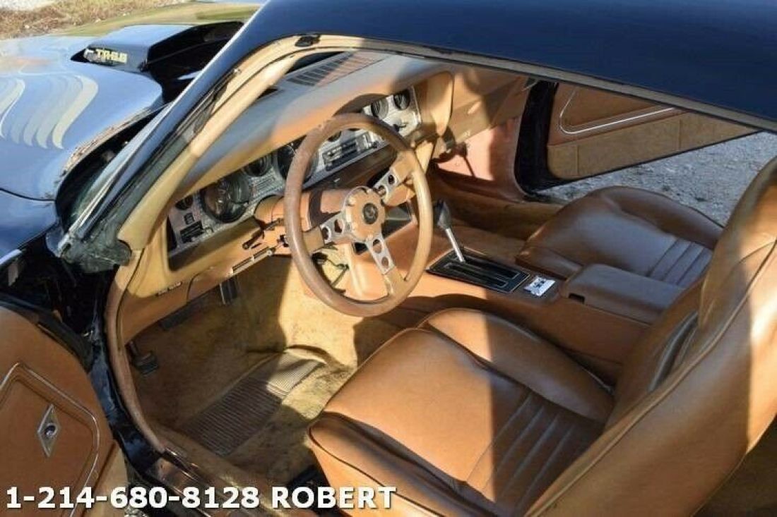 1979 Pontiac Trans Am - photo 11