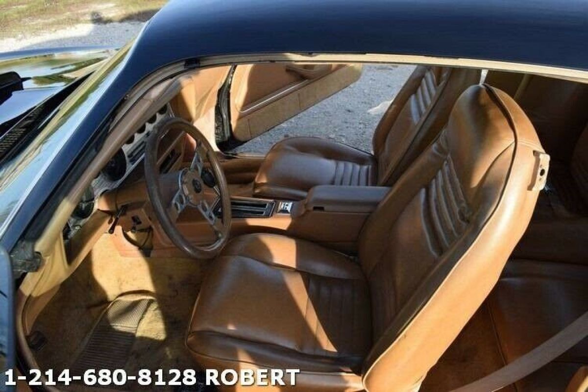 1979 Pontiac Trans Am - photo 12