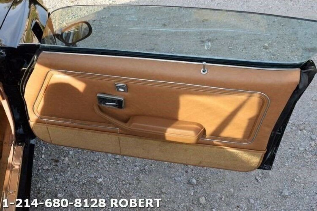 1979 Pontiac Trans Am - photo 13